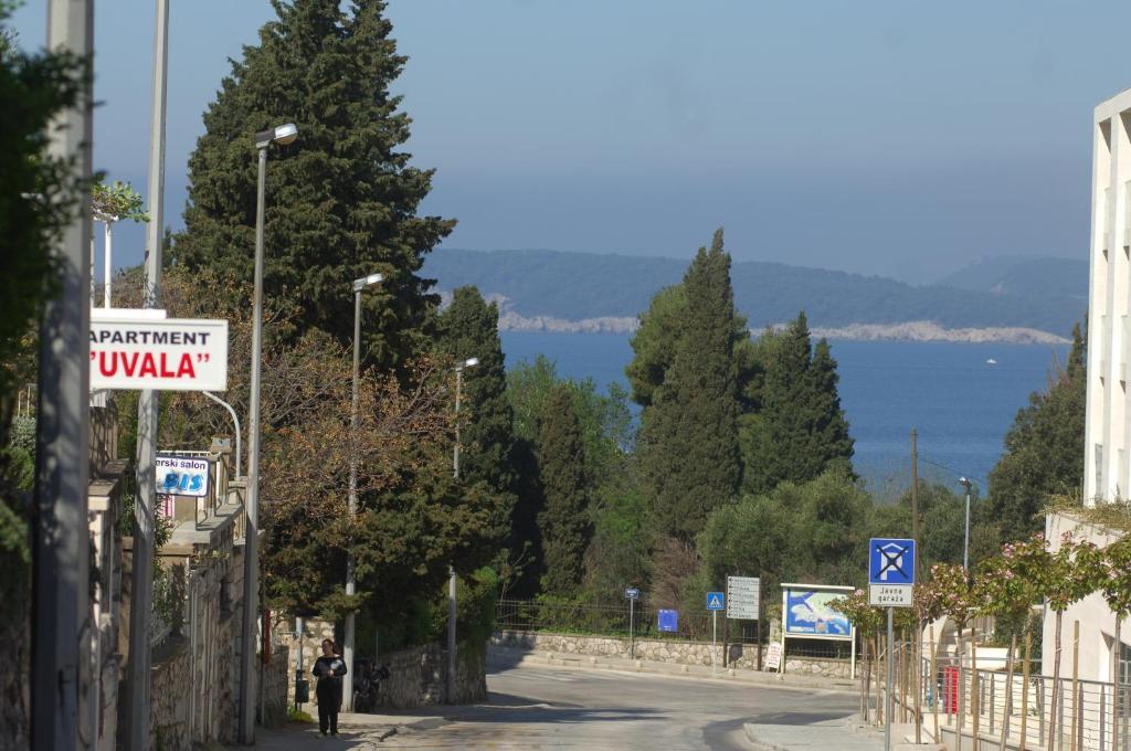 Uvala Apartment Dubrovnik Dış mekan fotoğraf